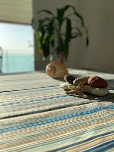 Masa örtüsü egelihome 140x180 su iticili leke tutmaz