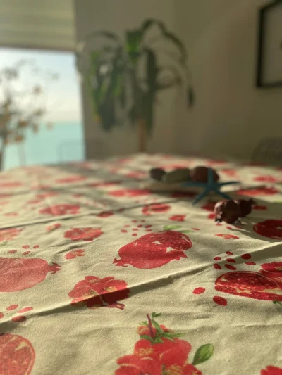 Masa örtüsü egelihome 140x180 nar su iticili leke tutmaz